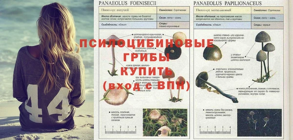 круглые Заволжье