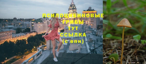 PSILOCYBIN Заволжск