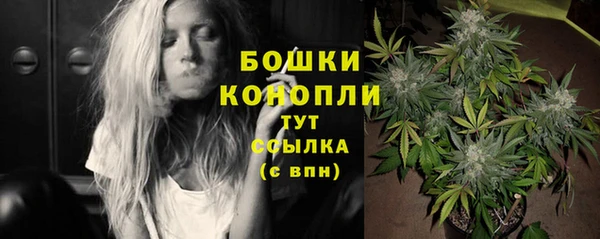 PSILOCYBIN Заволжск