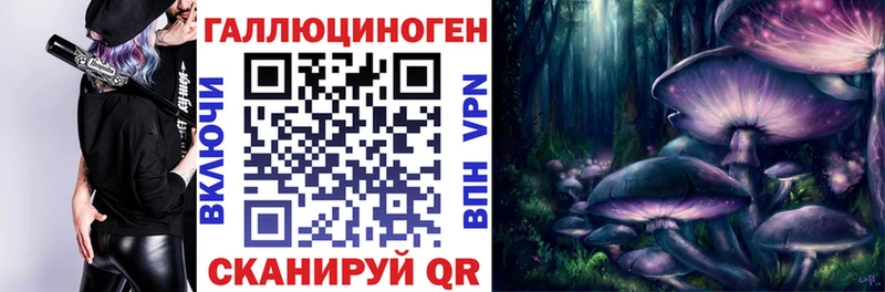 Купить  Йошкар-Ола  Галлюциногенные грибы Psilocybine cubensis 